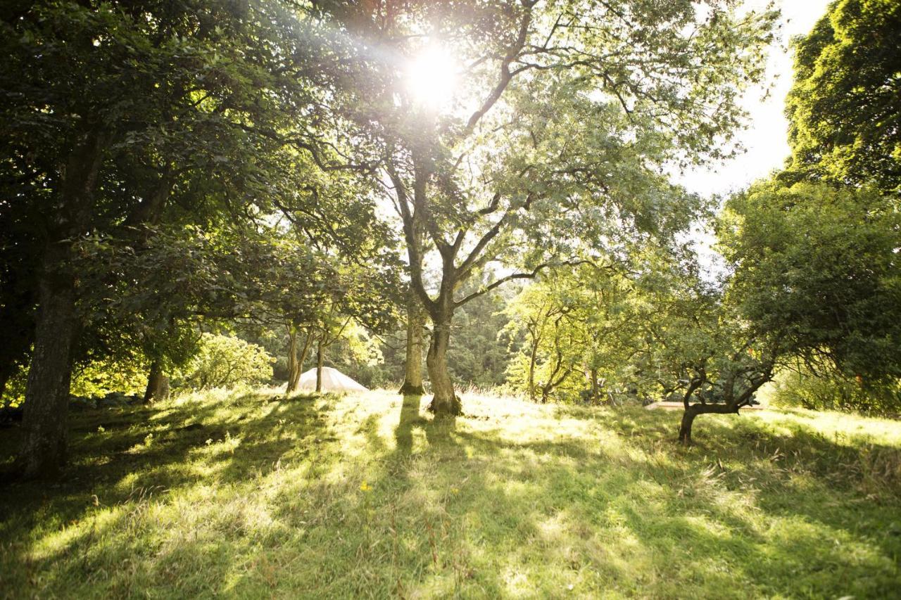 Hotel Rock Farm Slane - Glamping Camera foto