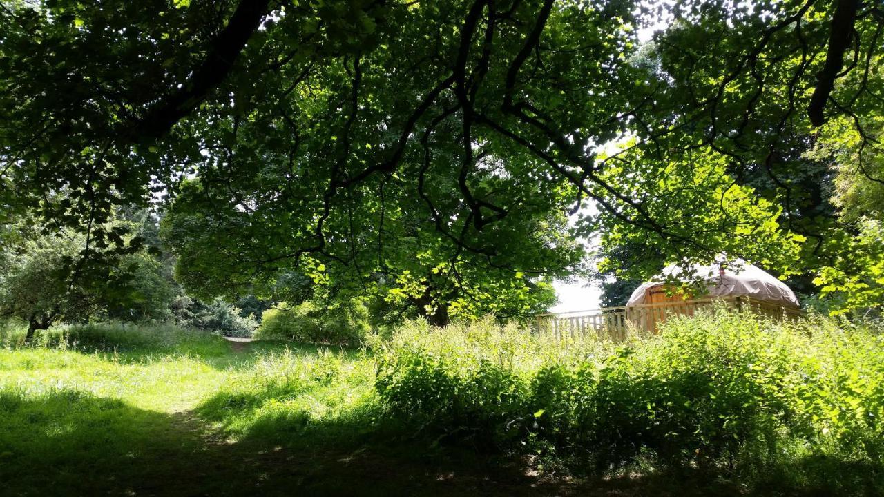 Hotel Rock Farm Slane - Glamping Esterno foto