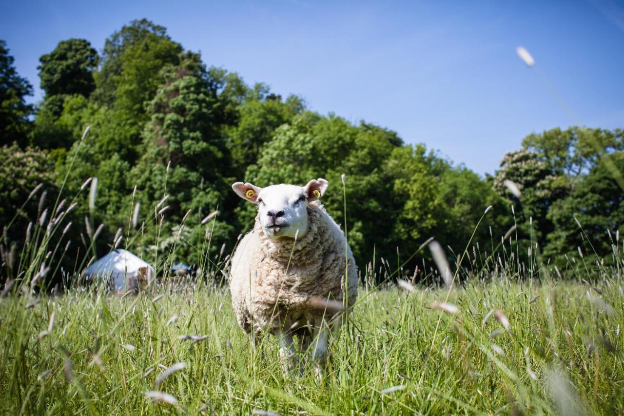 Hotel Rock Farm Slane - Glamping Camera foto